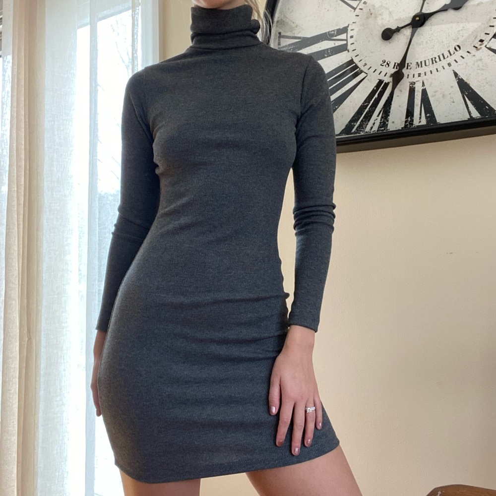 Sweater turtle neck dress